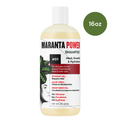 Maranta Power Shampoo
