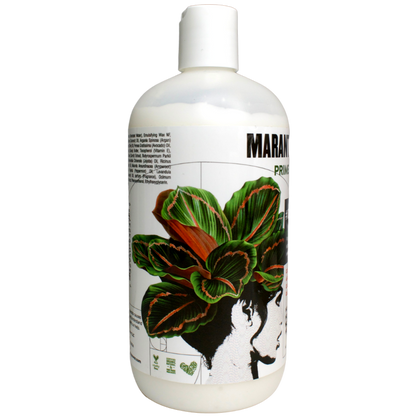 Maranta Power Primer Leave In