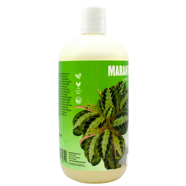 Maranta Power Medium Hold Gel