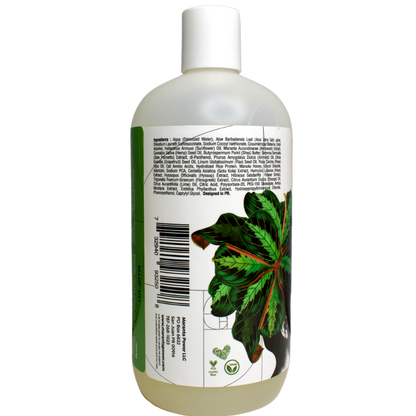 Maranta Power Shampoo
