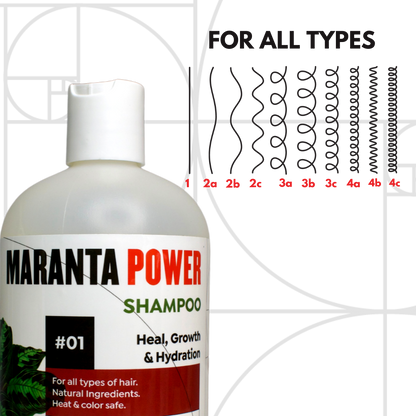 Maranta Power Shampoo