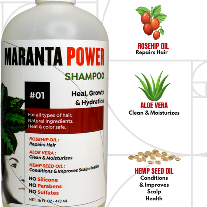 Maranta Power Shampoo